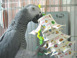 ���������ߖ�ɗ��ł��܂�