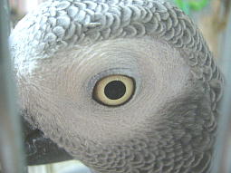 ���������т����΂���Ȃ̂ɂ�����ɕ����E�E�E