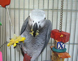 ���܂��܁�