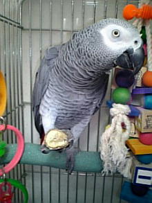 �Â��Ăق��ق��ȌI