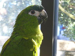 �ʐ^�̃��f���͗��h�ɂƂ߂��̂�