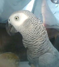 はぁぁぁ〜・・・