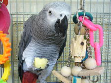 蜜入りりんごはひと味違うね