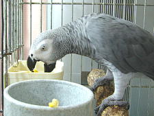 美味しいお顔♪