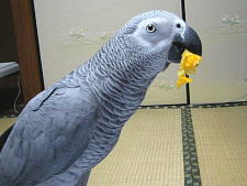 果汁だけゴクゴク飲みます