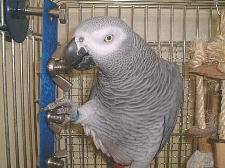 ����Ȃ̂ŗV�΂Ȃ��Ă��m�I�����ˁ`