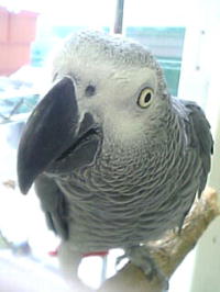 正面顔もまたかわいい♪