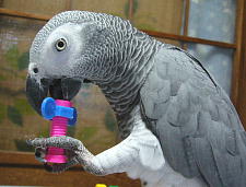 お利口に一人遊びしてくれました