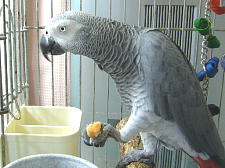 甘いねぇ〜おいちいねぇ〜