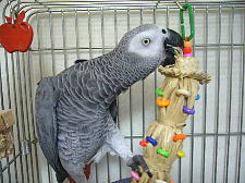 がしがし破壊する