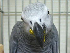 冷めたら食べへんからちゃんと暖めてな〜