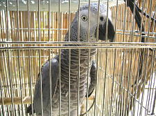 鼻の穴丸見え〜