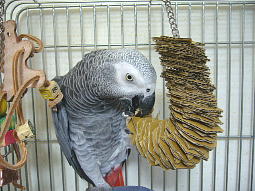 これでもかって言うくらい段ボールを付けてみた