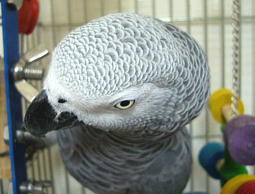 �������I