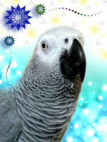 �Ȃ�Ƃ��ق�킩�����f�G�Ȏʐ^�Ɏd�グ�ĉ������܂���