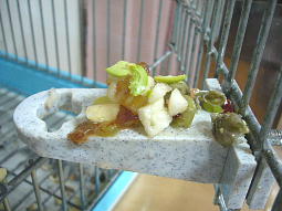 �}������񂲁�����̐H�ׂ���