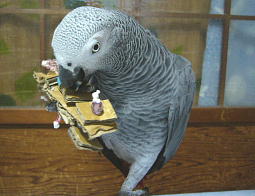 �݂邳��̓��E���S���킩���Ă�`