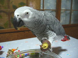 ���������悧�`�A���肪�Ƃˁ`