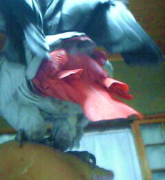 �ȑO�̂�肵��ڂ����H