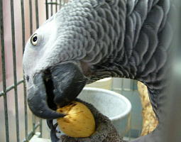 �ڂ��^���I