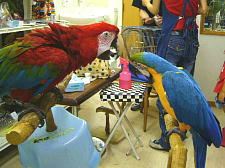 どこでもカキカキさせてくれたゴンちゃん♪