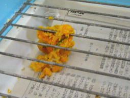 ����ł��H�ׂĖႢ���������Ȃ�