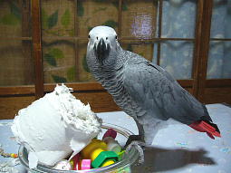 �����ł��؂��_�炩��