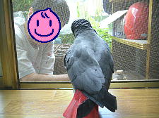 おらおらおら〜!