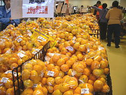 �������܂ł����Ƃ݂���