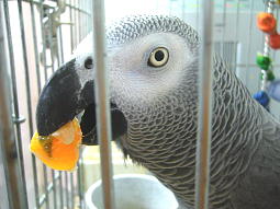 ちゅちゅ〜ごくごく