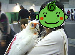 人にもたれて眠るテンテンちゃん