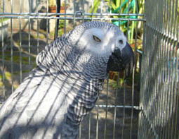 なんか目つき悪ぅ〜