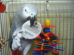 まずラベルからがお約束