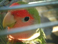 すっきりなの〜