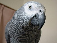 まん丸お目目でラブリィ〜