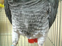 じっとりと寒そう