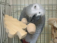 これ、壊しやすいやん