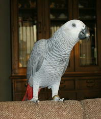 ご協力お願い致します。