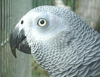 お日様ほこほこ〜