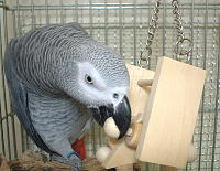 よっしゃ!壊すでぇ〜