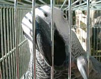 久しぶりのお日様に当たる