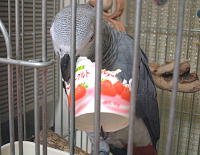 “パスパス・・”と囓れて楽しい〜