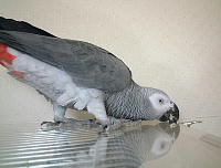 このクリップが気になるぅ〜