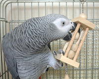 取れやん・・・