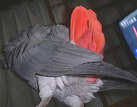 うんしょ、うんしょ