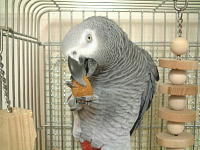 うりゃぁ〜〜〜!