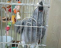 かぁぁ〜〜!気持ちええ〜。