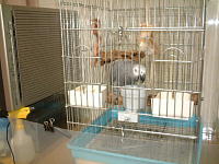 狭いのに電化製品だらけ