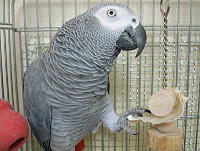 おもちゃと一緒♪