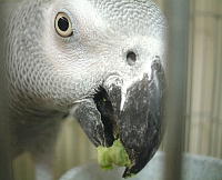 やっぱり新鮮なのはひと味違うねっ